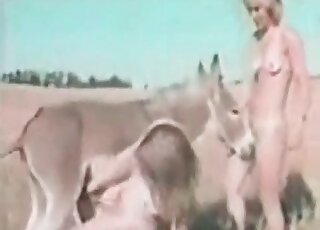 Compilation of retro zoo porn movies featuring extremely naughty sluts
