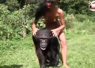 Zoophile slut does her best to seduce a monkey for some zoo porn