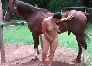 After deepthroat blowjob horny zoophile bitch gets fucked by a horse