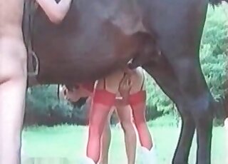 Zoophile whore in red stockings plays with an erected shaft of a horse