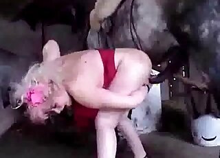 XXX zoo porn with a busty mature slut that enjoys sex with a horse