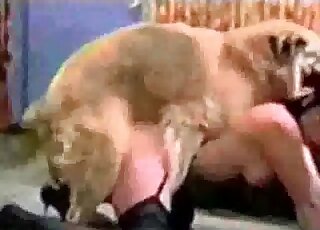 Compilation of non-stop pussy-ramming scenes with dogs and zoophile sluts