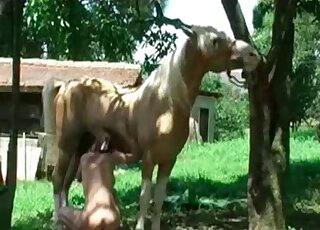 Skinny zoophile slut undresses next to a horse in order to start fucking