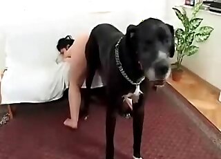 Chubby brunette zoophile whore gets nailed by a hard dick of a doggie