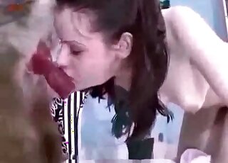 Naughty zoophile chick loves sucking dog's red pecker in oral zoo porn