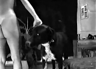 Black-and-white zoo porn scene shows the way black dog fucks horny bitch