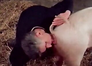 Mature zoophile decides to fuck a pig next to a naked blond bitch