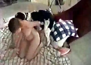 Black spotted dog enjoys fucking horny zoophile bitch on the floor