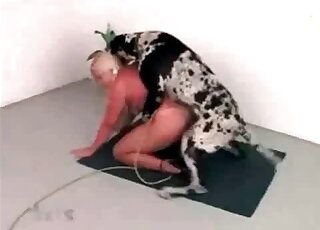 Huge dog cannot wait to fuck that sexy blonde really hard