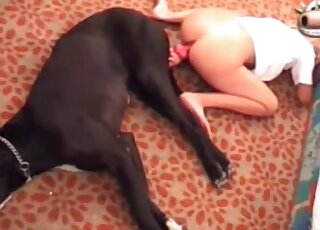 Super-attractive babe with a round ass fucking a black mutt here