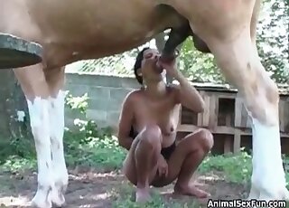 Small-boobed babe taking care of the animal's penis while outdoors