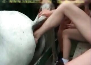 White mare getting fisted in intense scene that will get even hotter