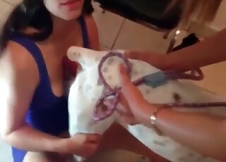 Hottie in a trendy blue outfit lets white dog fuck her shaved pussy