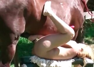 Lovely blonde keeps her legs raised during horse fucking outdoors