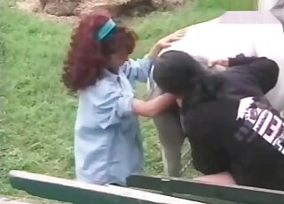 Curly slut is busy fisting the tight hole of a horse outdoors