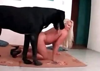 Huge black dog is about to fuck that horny blonde from behind
