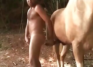 Horny man in a cowboy hat finds a big horse cock that looks suckable