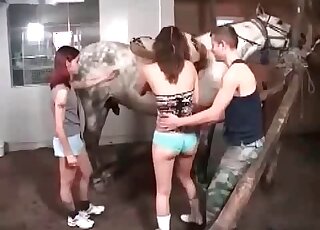 Redheaded lady licking all over this animal's penis in a group vid