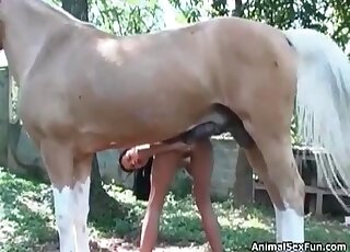 Twisted bitch with a wet pussy lets this horse fuck her up from behind