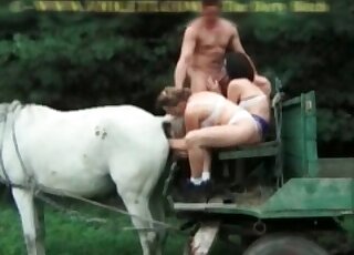 Horny couple arrange beastiality threesome sex blow stallion’s cock