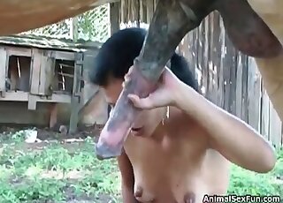 Spoiled Asian brunette blows and wanks stallion’s cock and gets cum