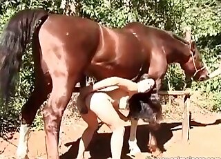 Nude brunette takes a stallion’s cock in mouth and swallows sperm