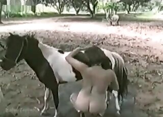 Cock craving hottie gievs head to a stallion swallows a load of cum