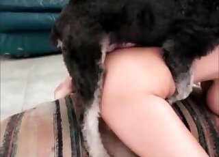 Perverted chick takes off clothes to offer wet cunt to her canine