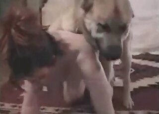 Dog fucks a cute chick and craves for more sex in a zoo porn scene