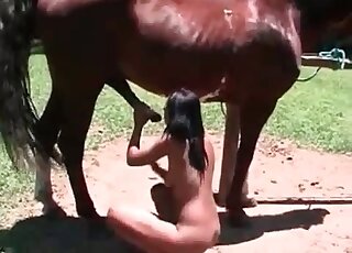 Brunette bitch stuffs filthy mouth with enormous dong of a stallion