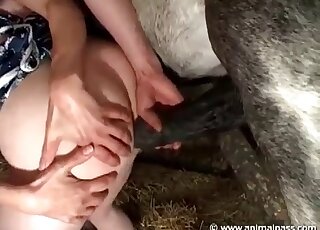 Curvy bitch likes the presence of stallion’s black dick in pussy