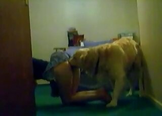 Bitch tempts her dog indoors and gets pounded in a doggystyle