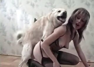 Fluffy doggie takes skinny bitch from behind and fucks her cunt