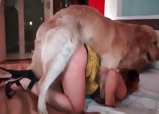 Voluptuous lady with a round butt teases her dog’s dick in a XXX action