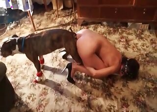 Naked wife loves the presence of a trained dog’s cock in her wet twat