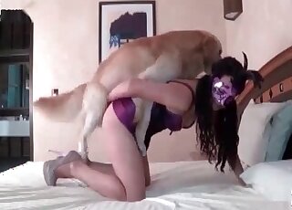 Hot looking wife invites her nice dog to fuck her pussy in the bedroom