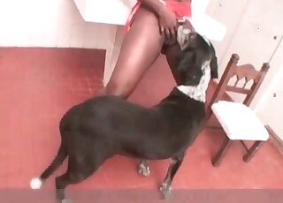Latina female makes her dog sniff at her needy pussy in a zoo scene