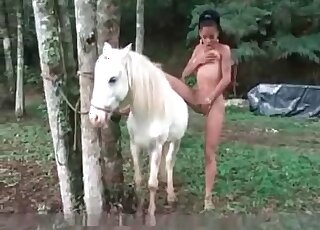 Tight Latina girl likes a white horse and its long steely pecker