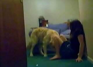 Horny canine gets excited of fucking a slutty chick’s wet cunt