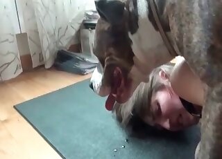 Huge dog rams anal of a crazy girl in a XXX zoo porn action