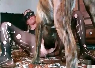 Massive canine rips pantyhose of a filthy wife and fucks her pussy
