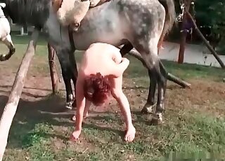 Perverted mature zoophile licks stallion’s cock and enjoys it in twat