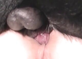Mature chick gets her itching anal stuffed by her horny dog’s cock