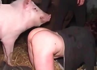 Curious mature whore yearns for a boar’s cock and gets enough of it