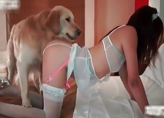 White dog fucks hairy cunt of a light-minded mature wife