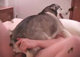 Zoophile dude fucks his submissive dog and cums on her fur