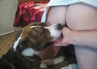 Trained dog gets pleasure of fucking sweet pussy of a female