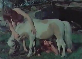 Lesbian bimbos sucks a dog’s dick in a hot threesome porno