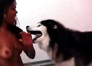 Husky gladly nails wet cunt of a horny ebony that stands on all fours