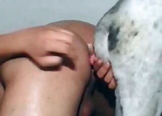 Dog's hard pecker penetrates dude's tight ass and makes him moan
